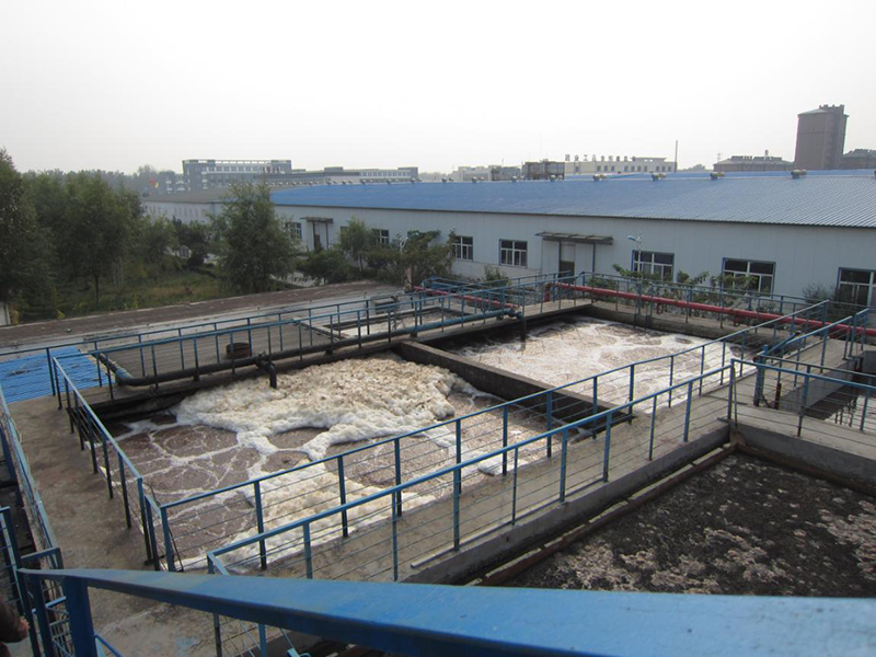 河南龍潤(rùn)能源科技有限公司600t/d污水處理工程